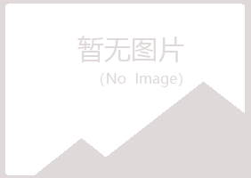 日照岚山浮尘音乐有限公司